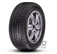 Легковые шины Roadx RXFrost WH01 205/60 R15 91H