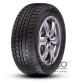 Зимние шины Roadx RX Frost WH01 245/70 R16 107T