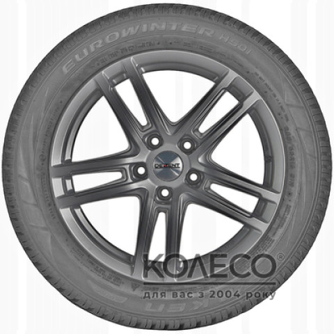 Зимние шины Falken Eurowinter HS01 205/55 R16 91H