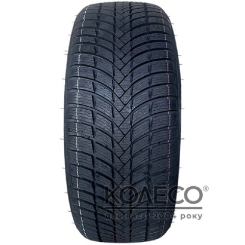 Зимові шини Triangle EffeXWinter TW421 255/50 R19 107V XL