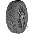 Зимние шины Toyo Observe EWS1 215/55 R17 98V XL