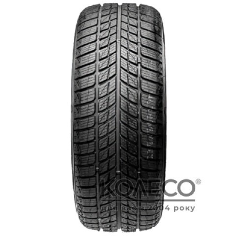 Зимние шины Horizon HW 505 255/55 R20 107H