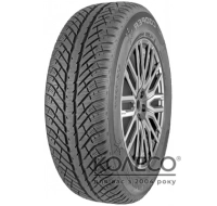 Легковые шины Cooper Discoverer Winter 205/55 R16 91H