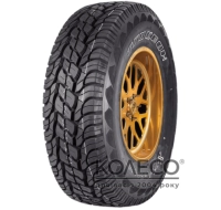 Легкові шини Tracmax X-privilo RF06 31/10.5 R15 109S