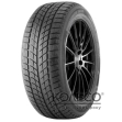 Зимние шины Doublestar DW09 235/55 R20 102H