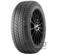 Легкові шини Doublestar DW09 235/55 R17 99T