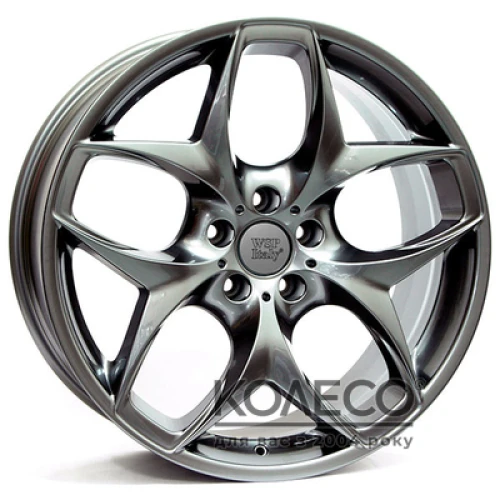 WSP Italy BMW (W669) Holywood W10 R19 PCD5x120 ET45 DIA74.1 dark silver