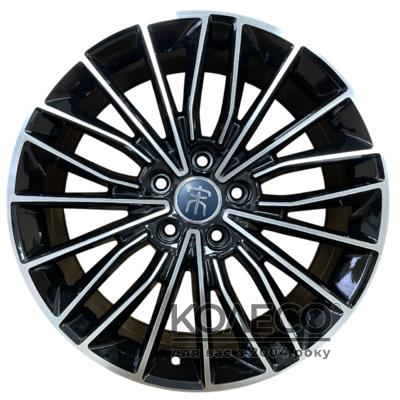 ZF FBX173 R19 W8 PCD5x120 ET50 DIA64.1 BMF