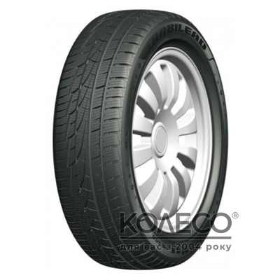 Habilead IceMax RW505 195/55 R16 87H